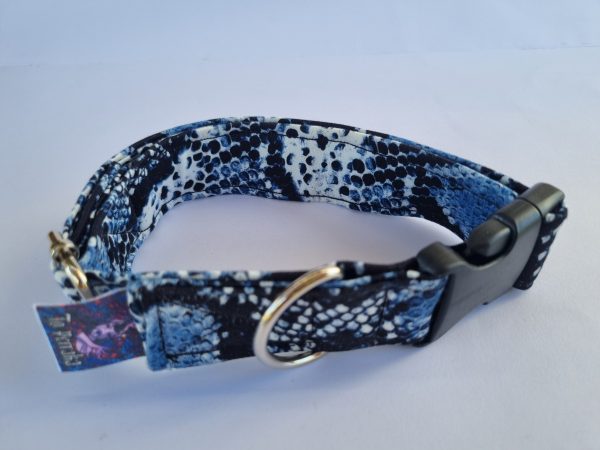Foto del collar de perro de serpiente azul
