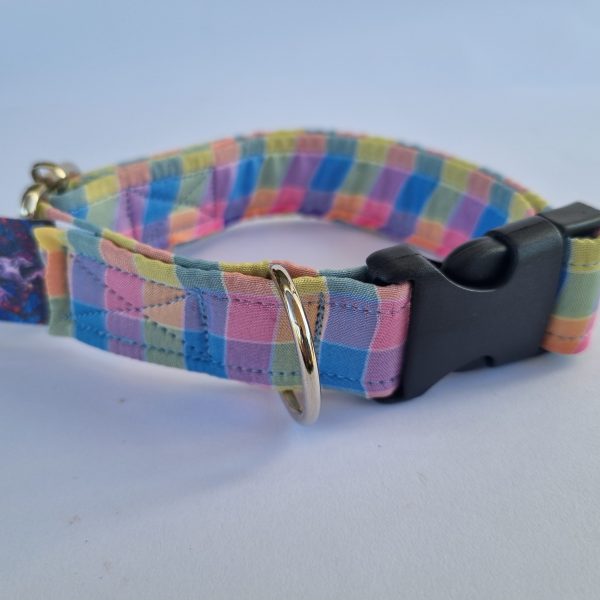 Foto frontal del collar de perro cuadrados de colores