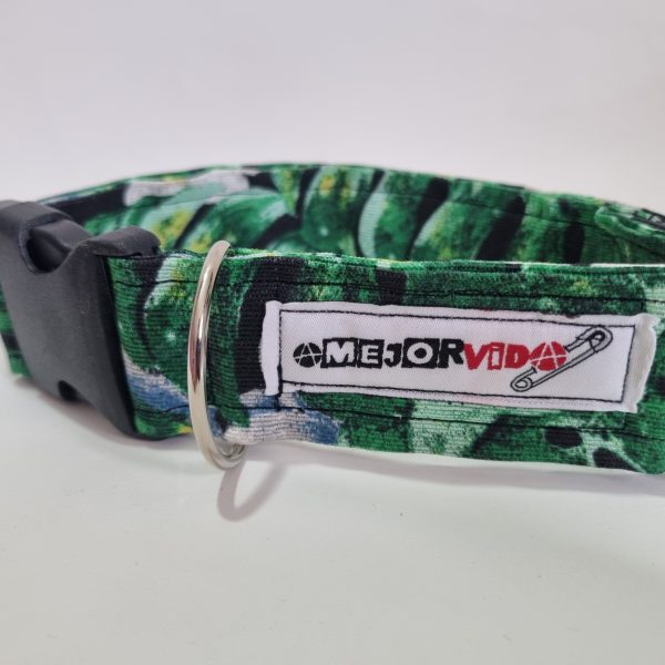 Foto del collar de perro selva oscura